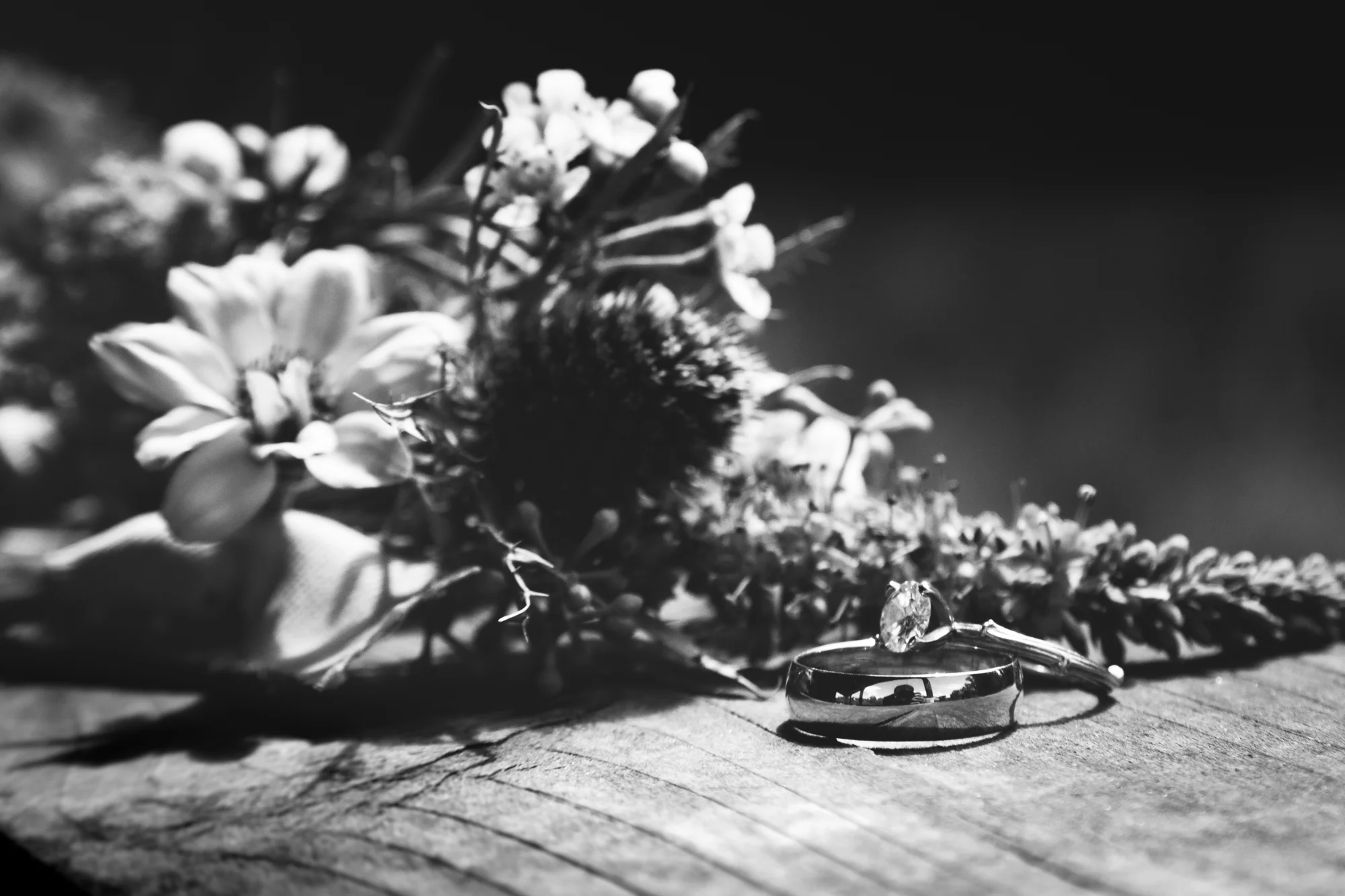 Blog Images-3.jpg