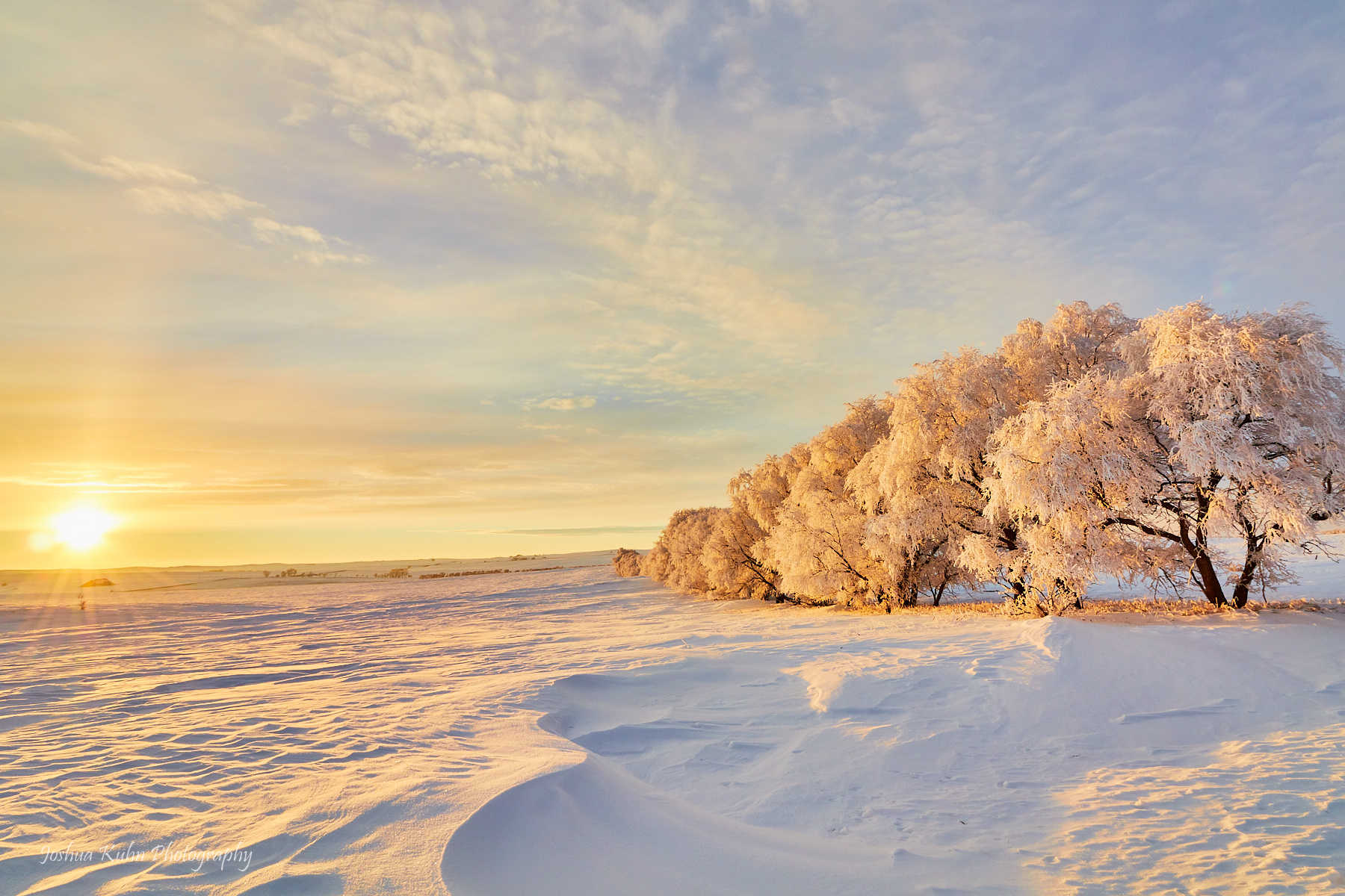 Setting on Frost