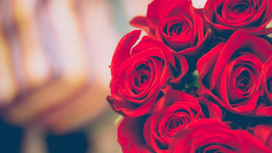 red roses.jpeg