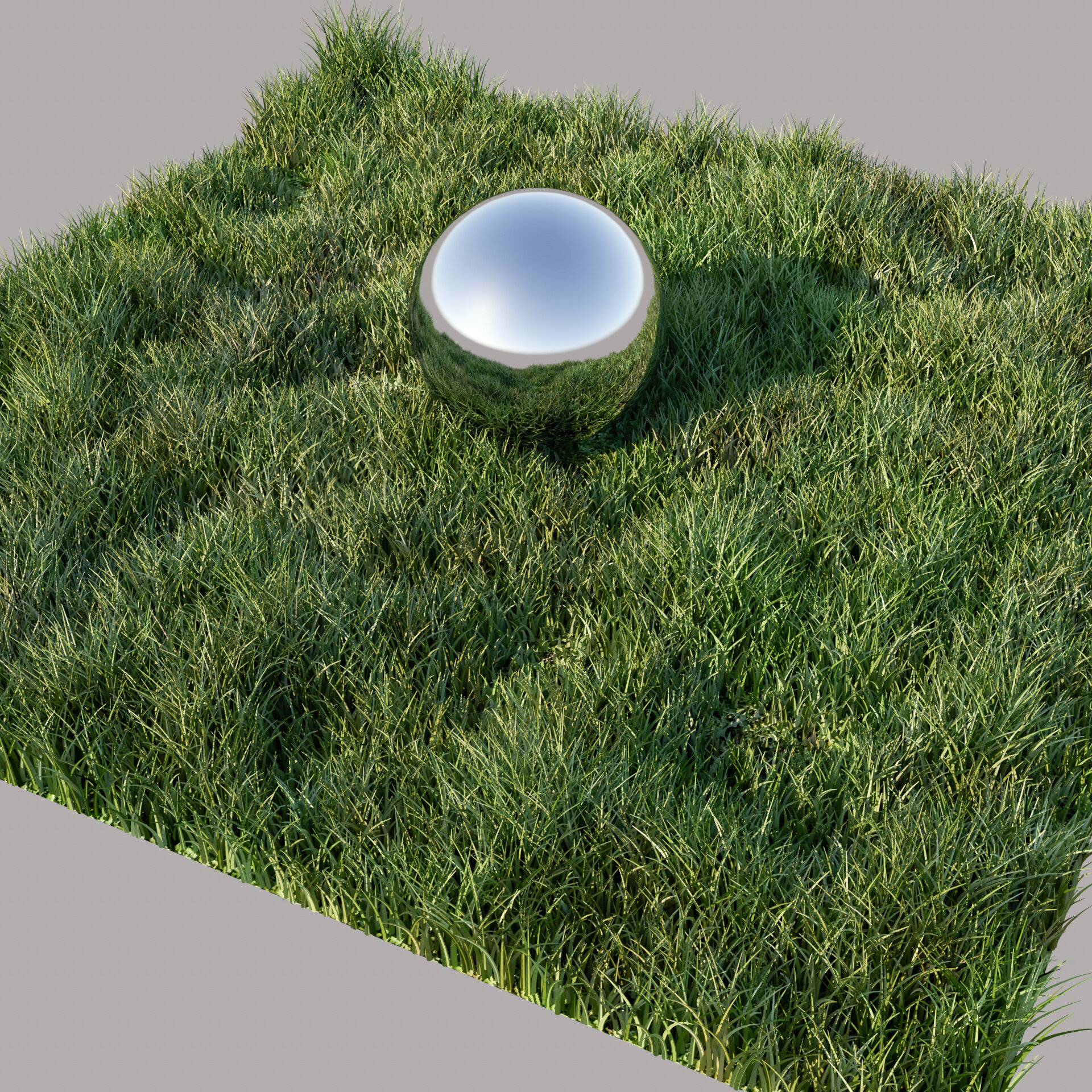 Vray Grass AI 01 Preview.jpg