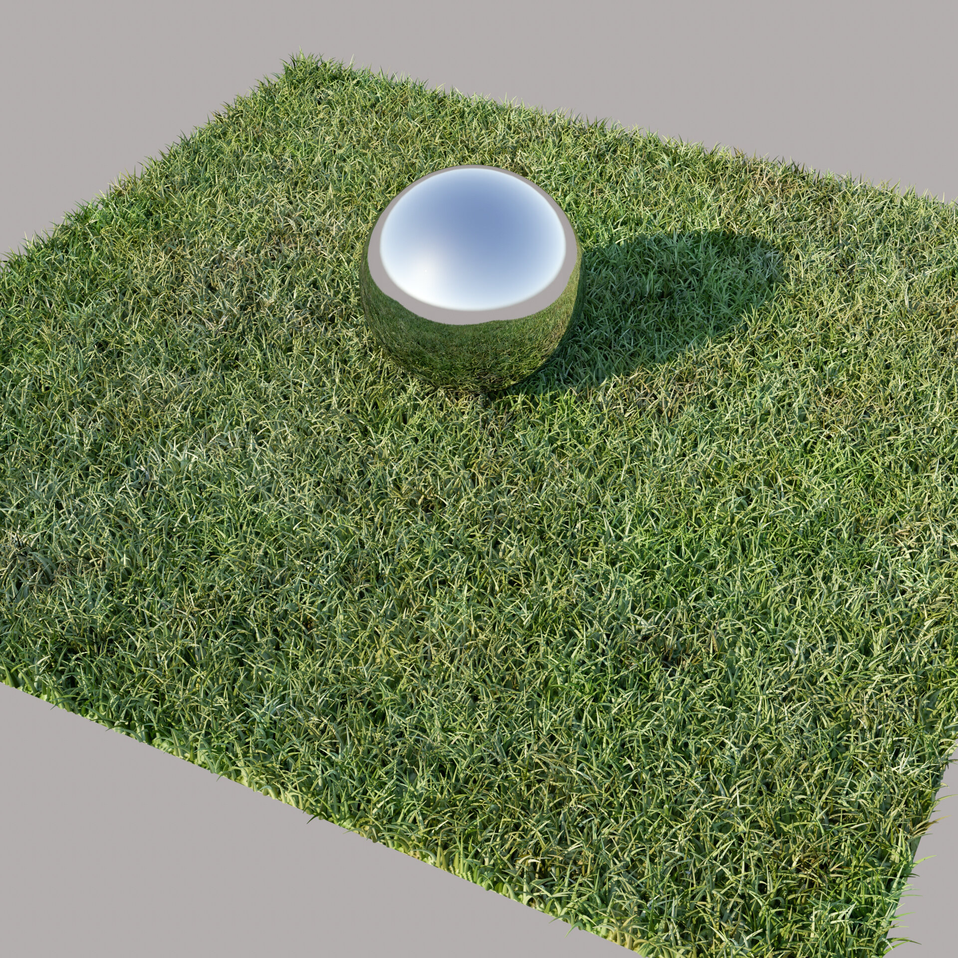 Vray Grass AI 02 Preview.jpg