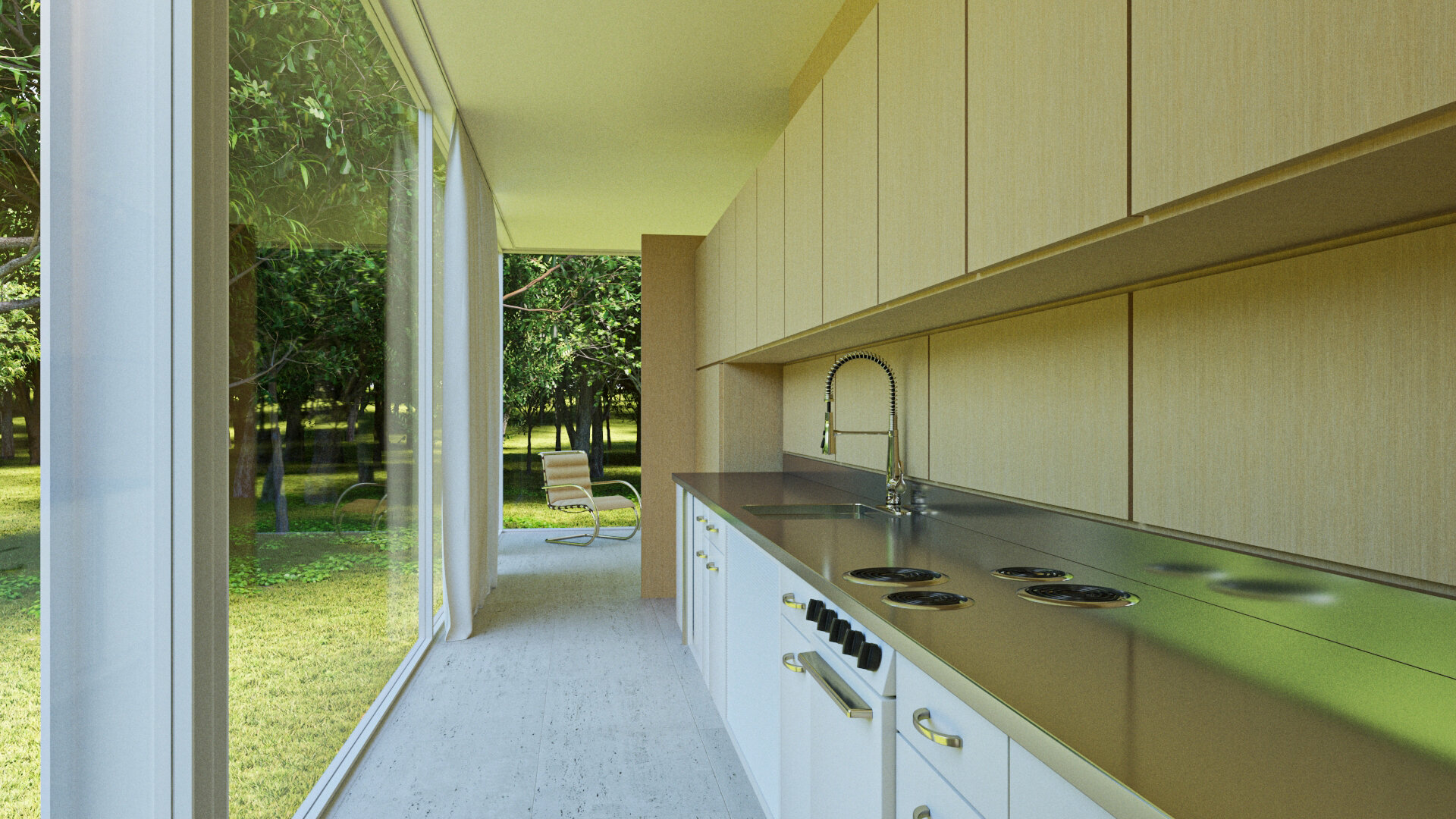 Farnsworth House View 4 Final JPG.jpg