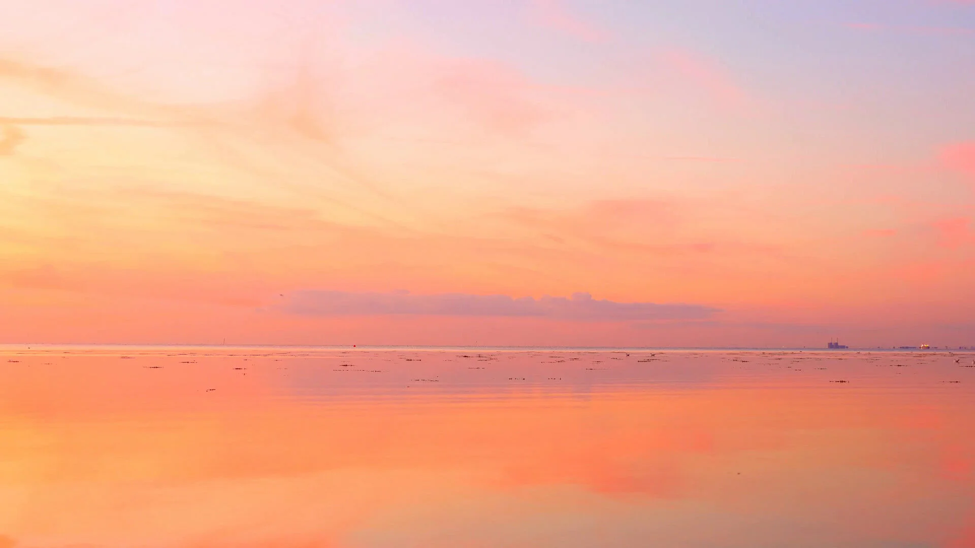 960967-cool-calm-background-1920x1080.jpg