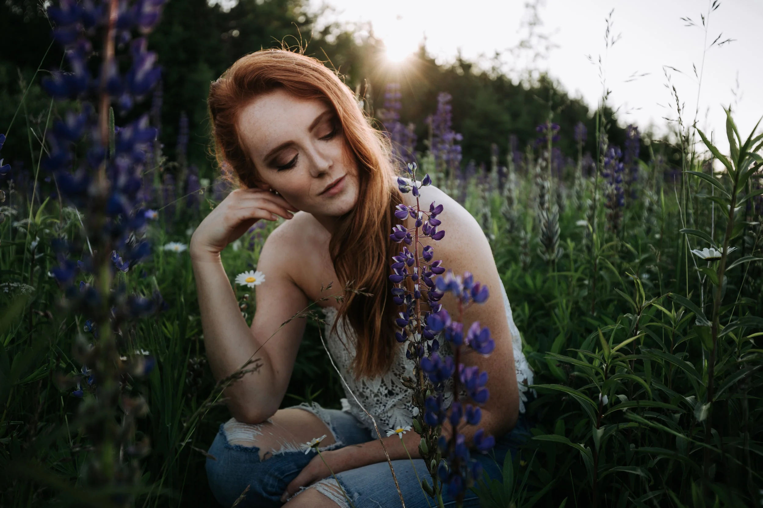 AshleyShaw_lupins-5.jpg
