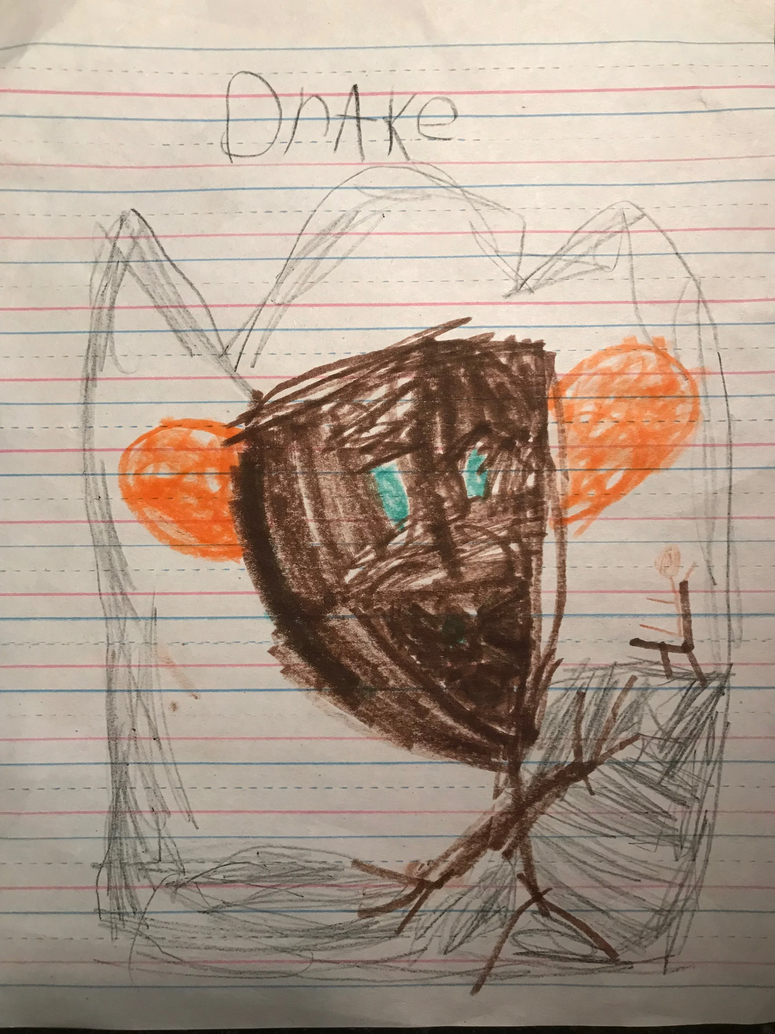Drake, Grade 1