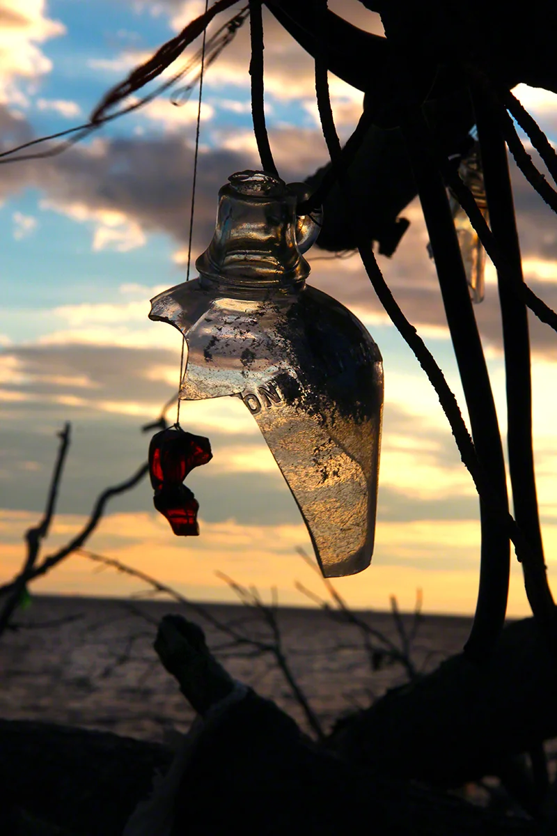 Bottle Hung from Dead Tree 1