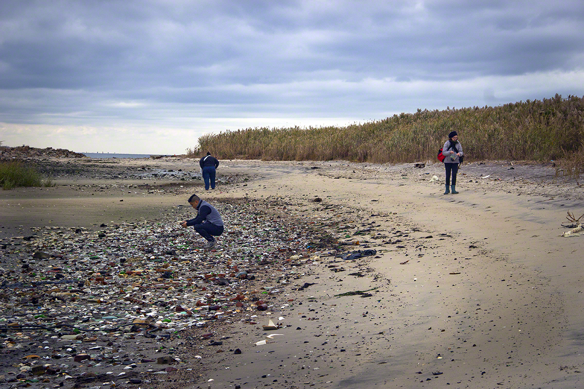 Three Beachcombers