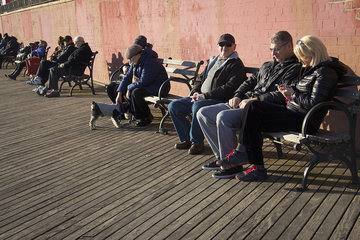 Long view of benches_36.jpg