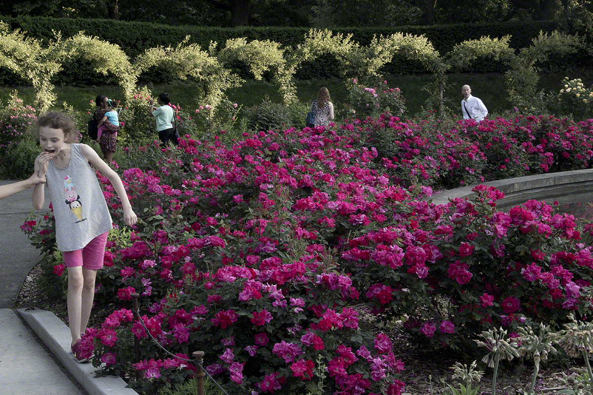 Roses around fountain with girl on edge.jpg