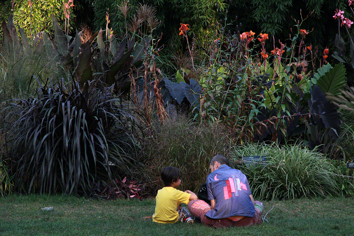 Father and Son and Foliage.jpg