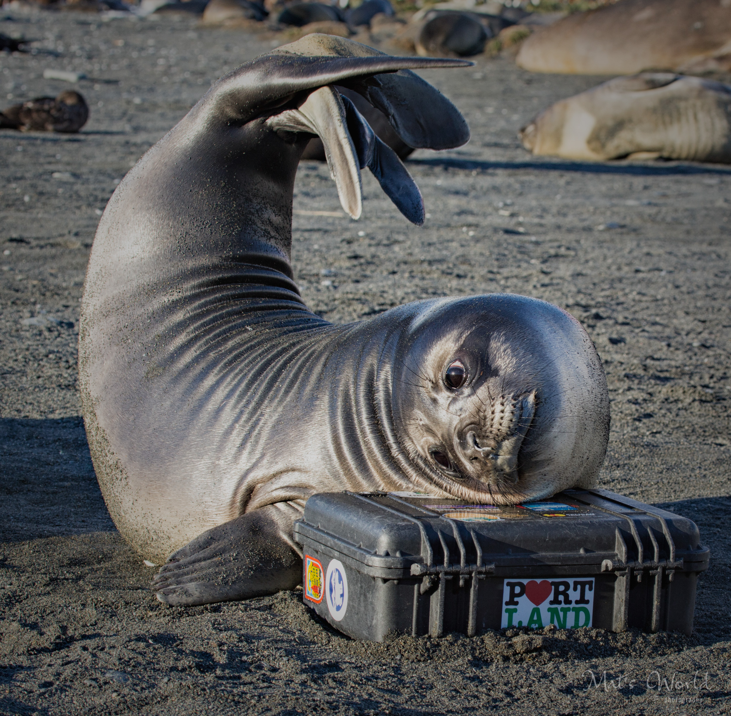  Be careful where you leave your photo equipment! 