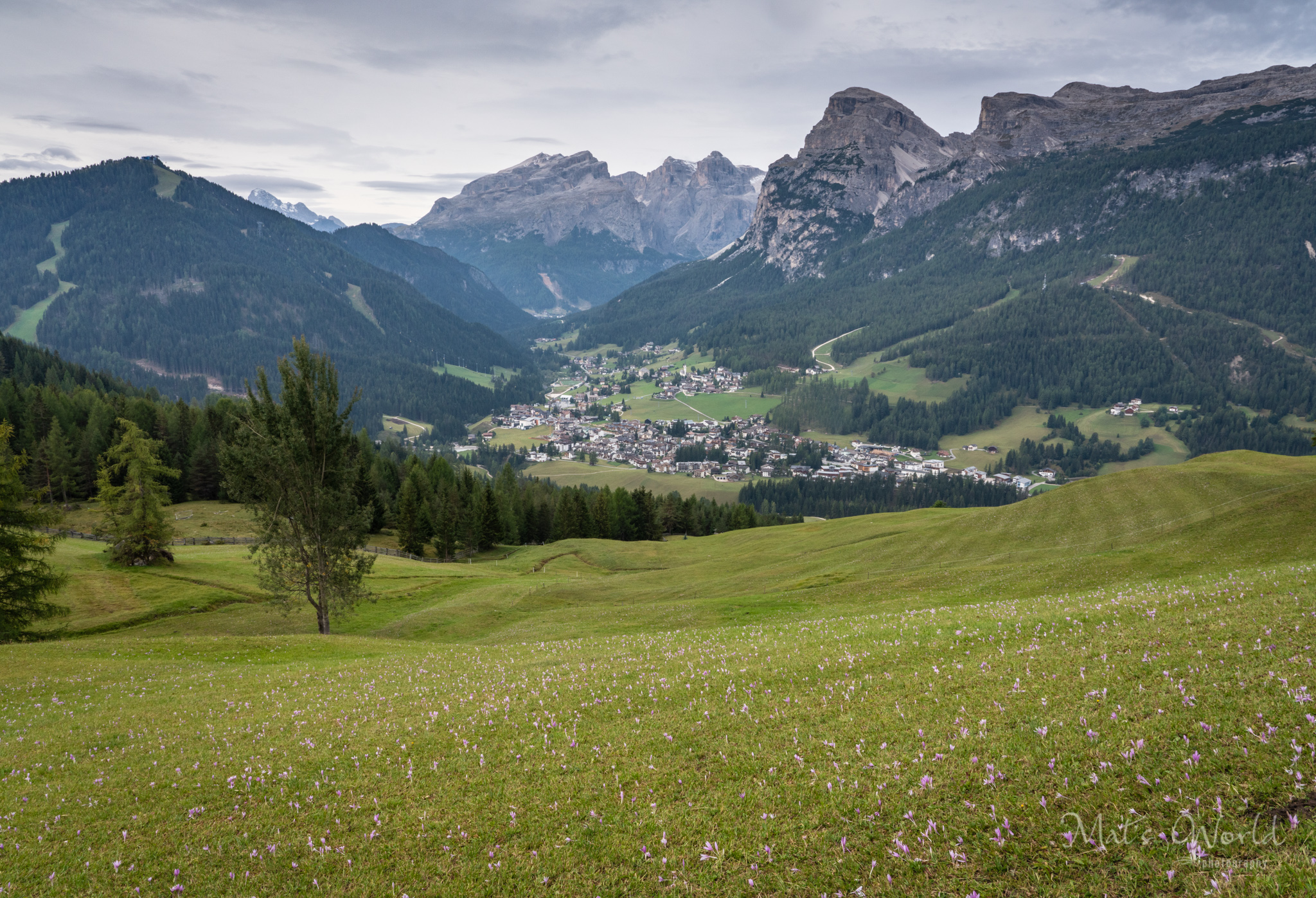 AltaBadia1 (4 of 5).jpg