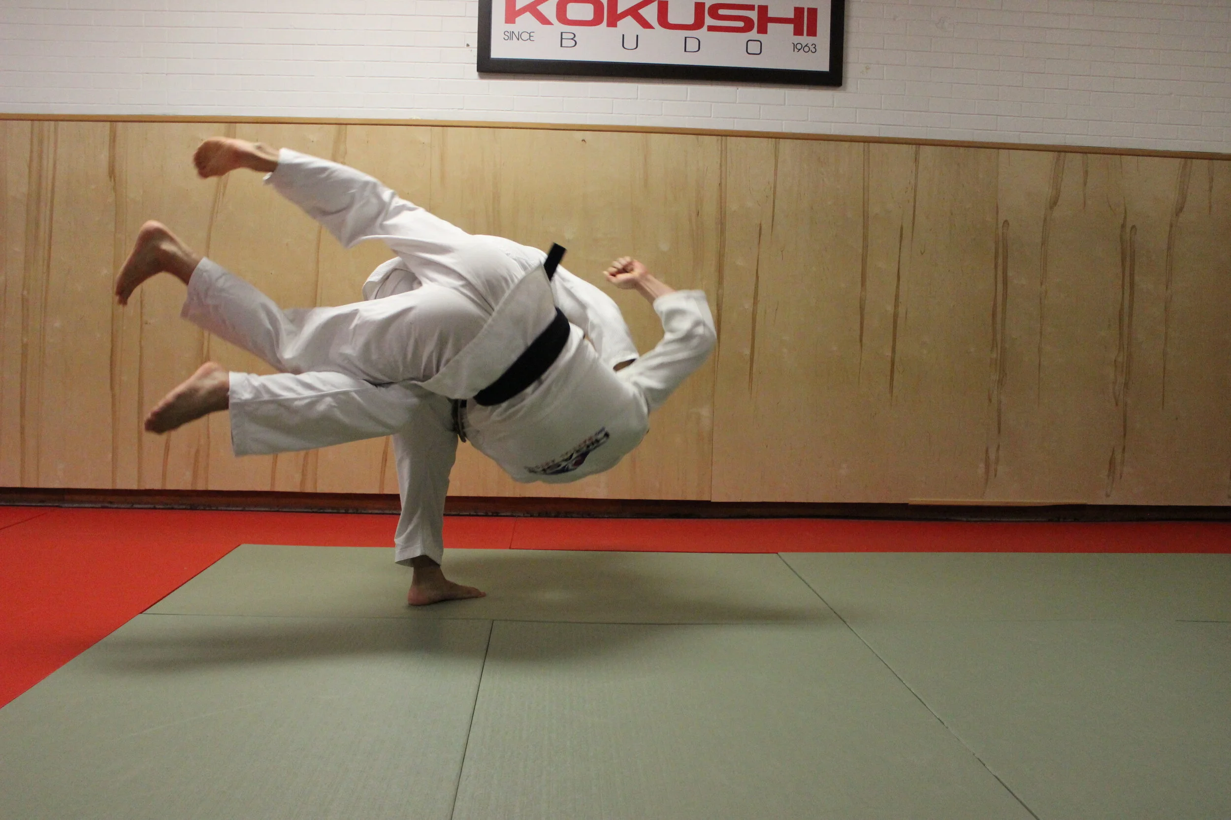 What the dojo means to me