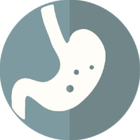 Cartoon of digestive system