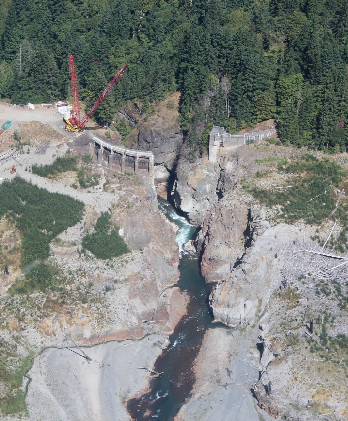 Elwha River Dam Removal and River Restoration: Progress Report Five Years After the Completion of Dam Removal