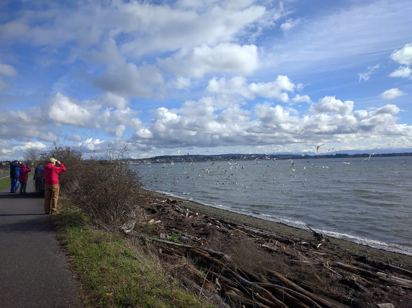 Semiahmoo Spit