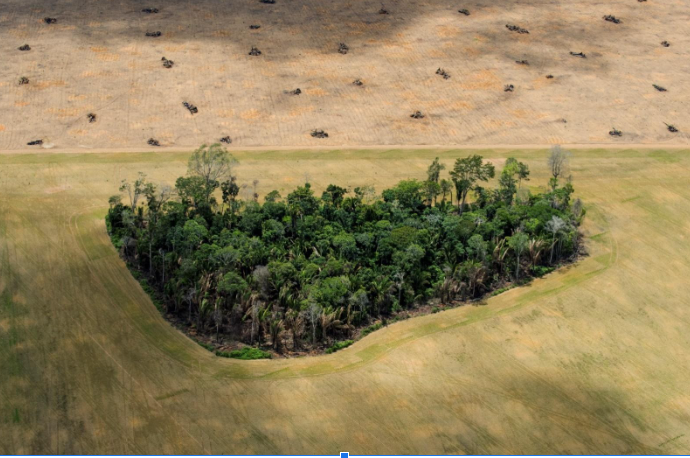   February Program: Documenting Human’s Impact on the Planet – Daniel Beltrá