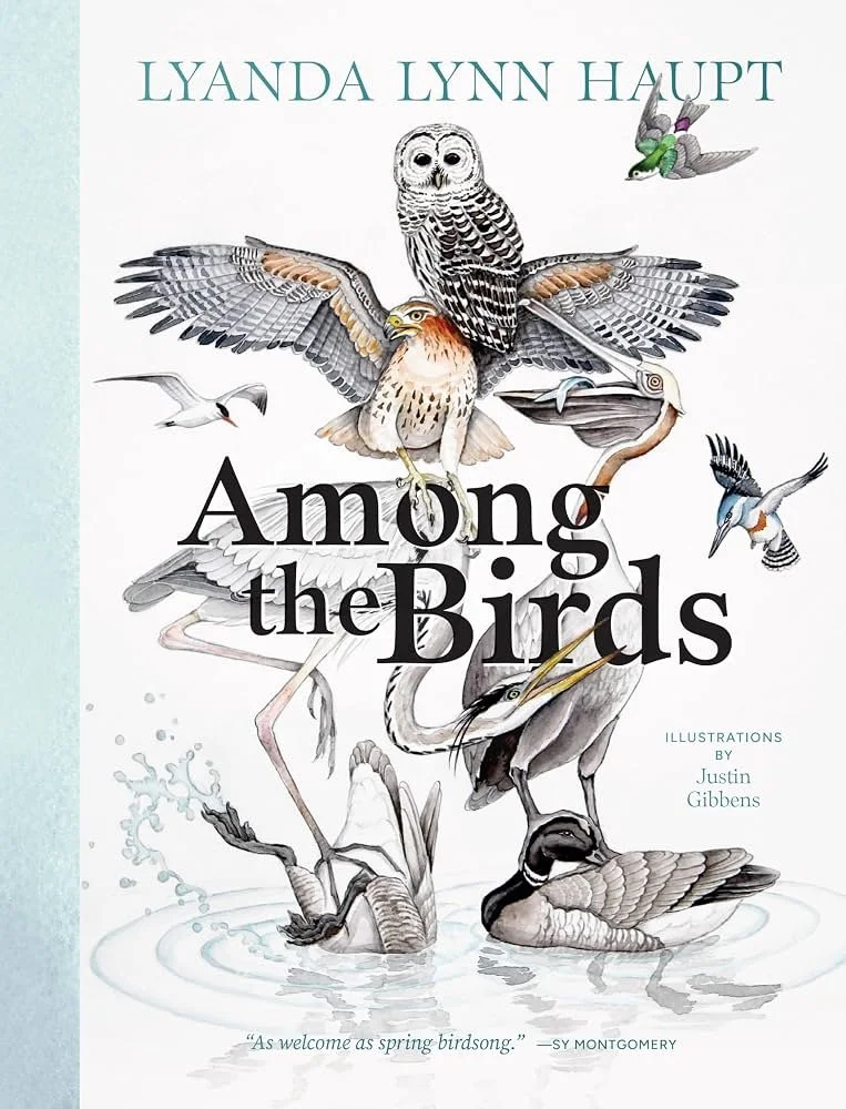 Among the Birds book cover.jpg