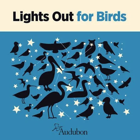 Lights Out for Birds.jpeg