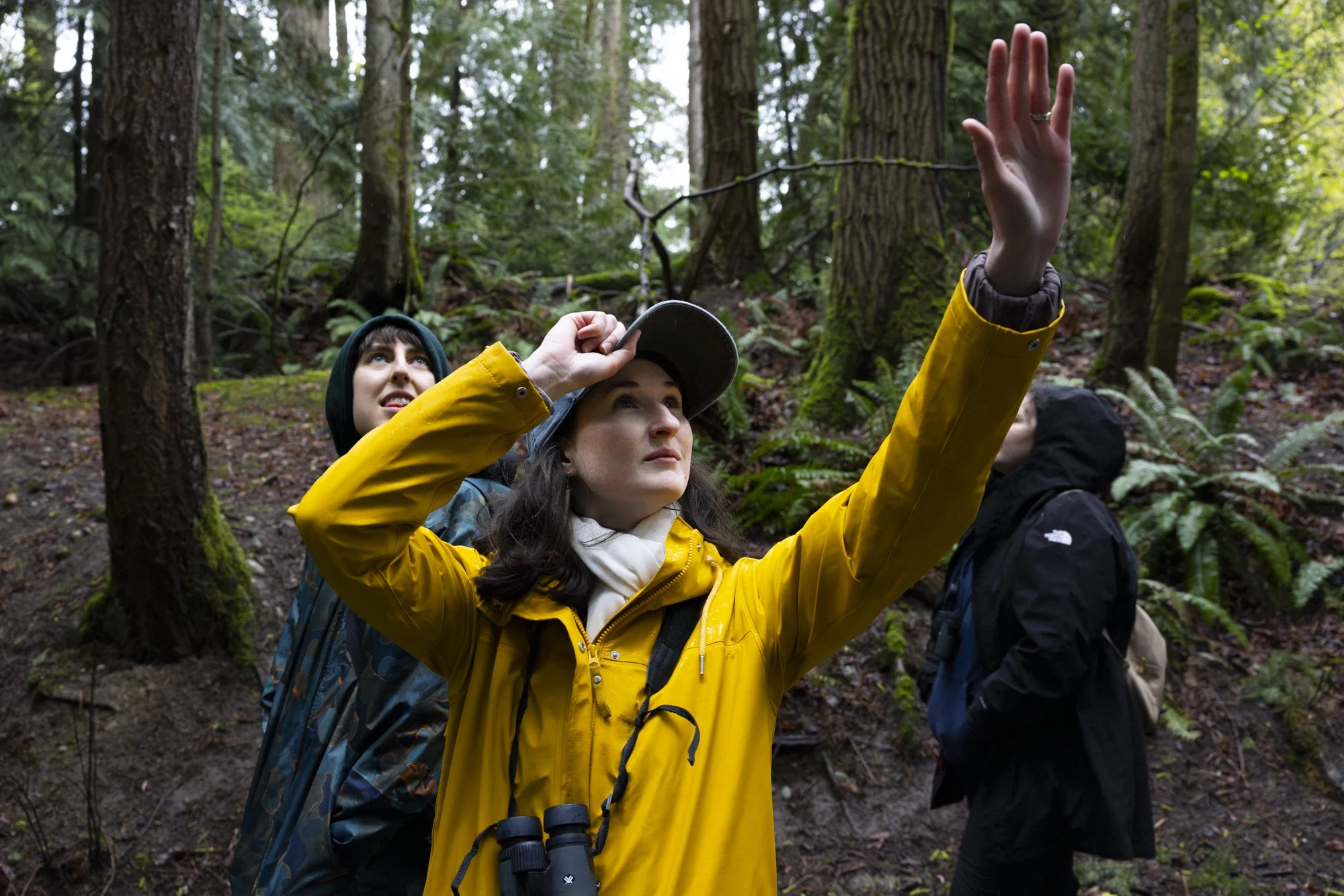 Kate Brown Bird Bellingham.jpg
