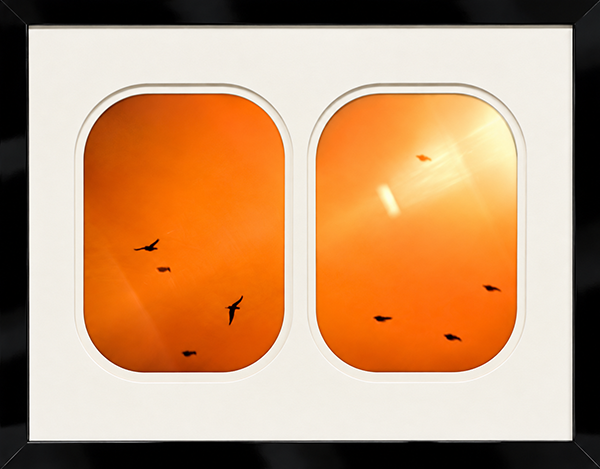Seat 2F.png