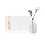 Sleeping Lotus Purity