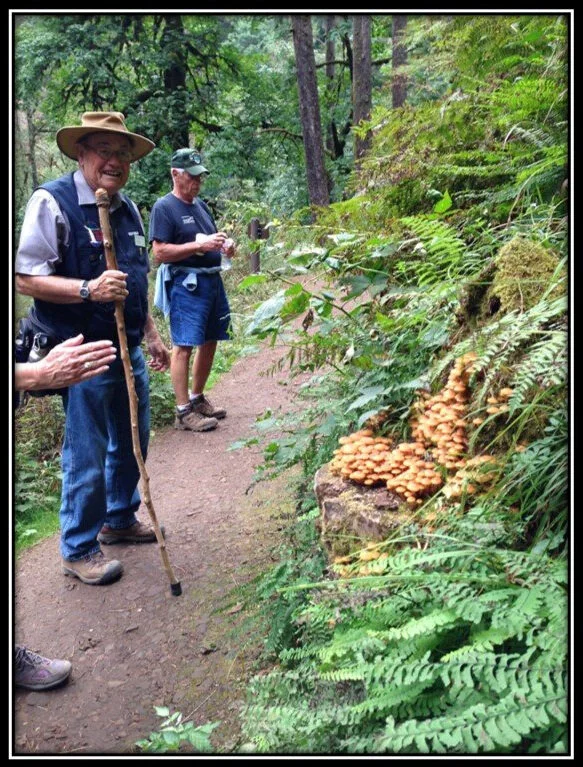 Hike in the Mist Zone