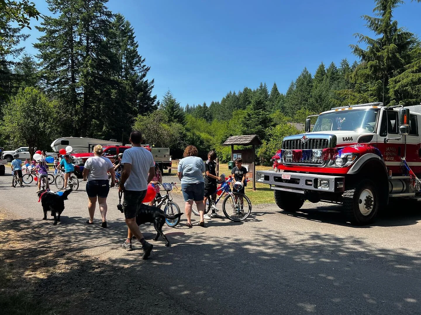 Small, But Feisty Beware the Rufous Hummingbird — Friends of Silver Falls