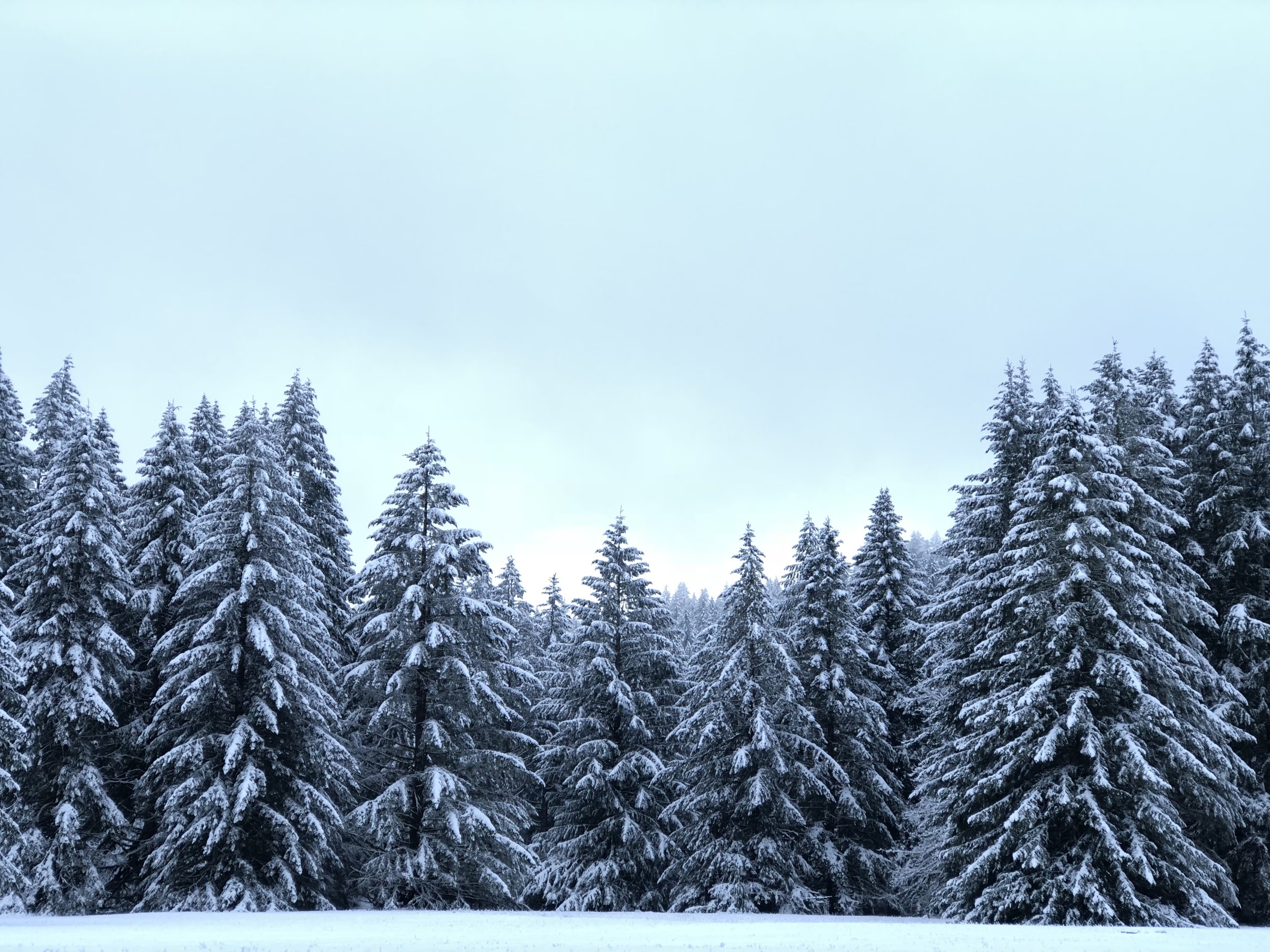 Silver Falls Winter Festival