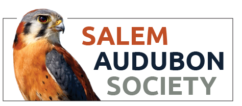 Salem Audubon.png