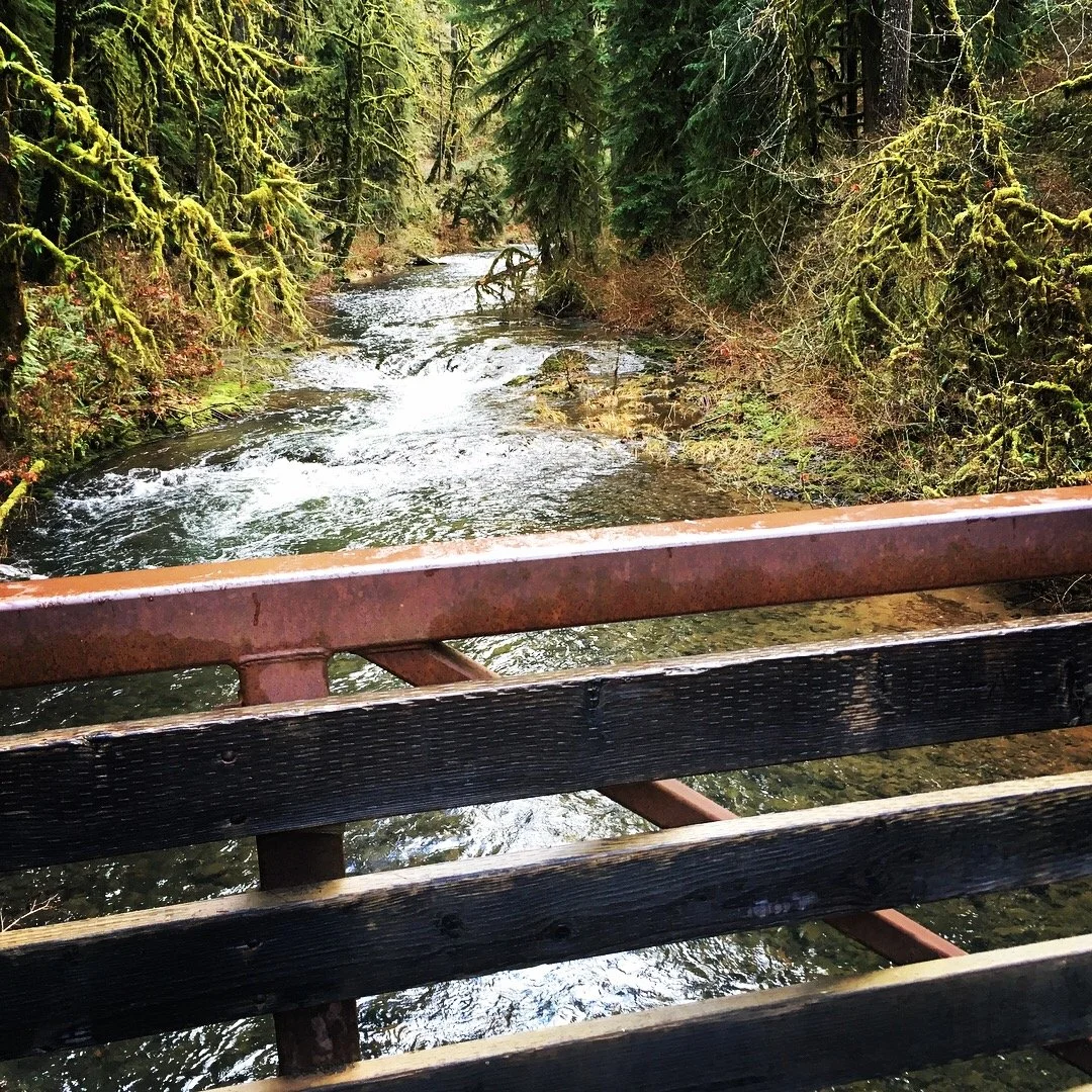 History of the Watershed at Silver Falls