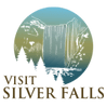 VSS-logo-transparent (1).png