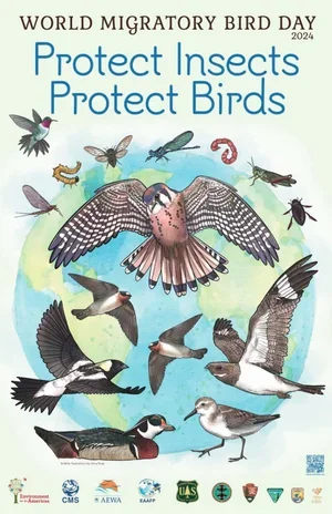 World+Migratory+Bird+Day.webp