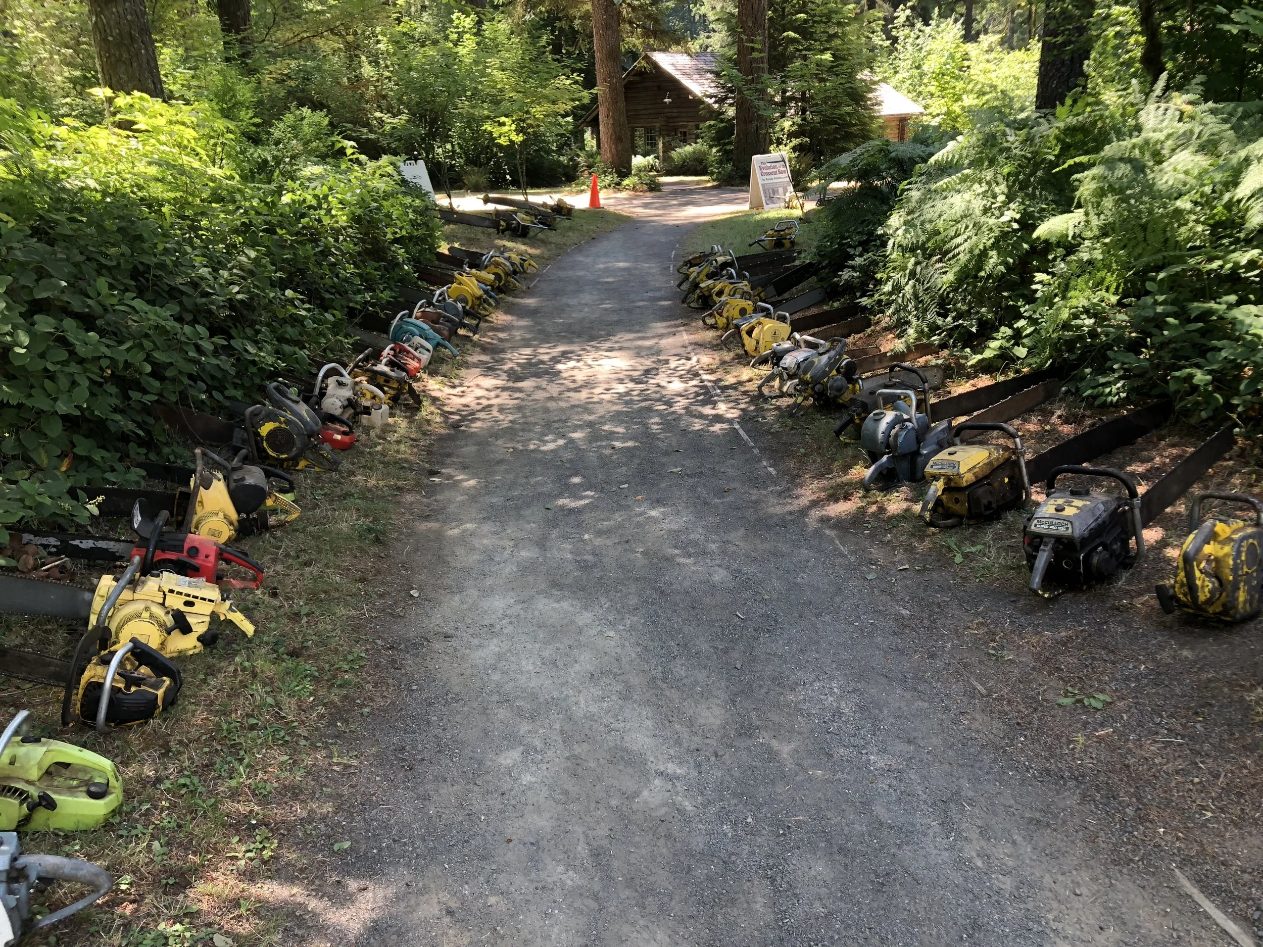 Chainsaw Display