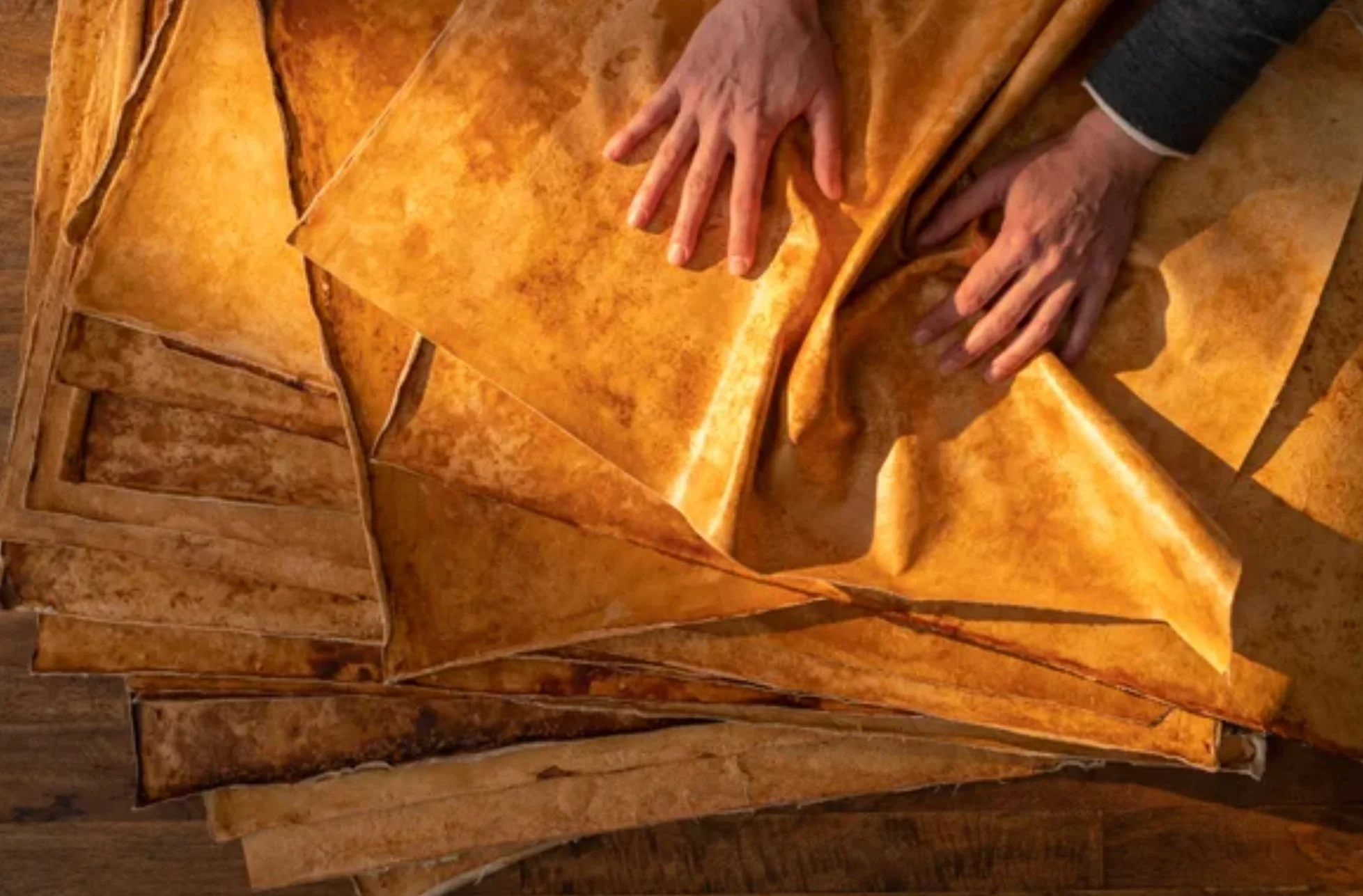 Mycelium Madness: Mushrooms are Taking Over Fashion Fabric