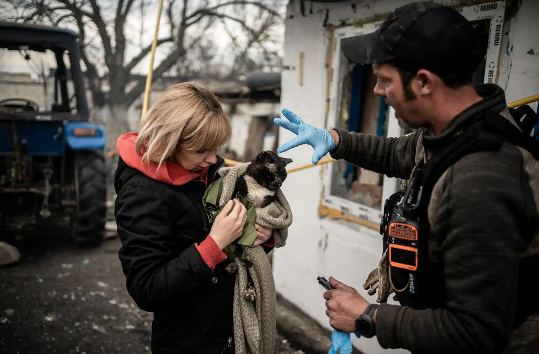 Animals: Victims of Violence