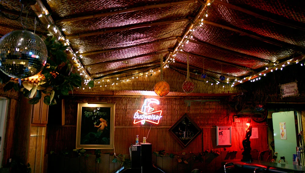 Disco ball coexists with thatch roofing.
