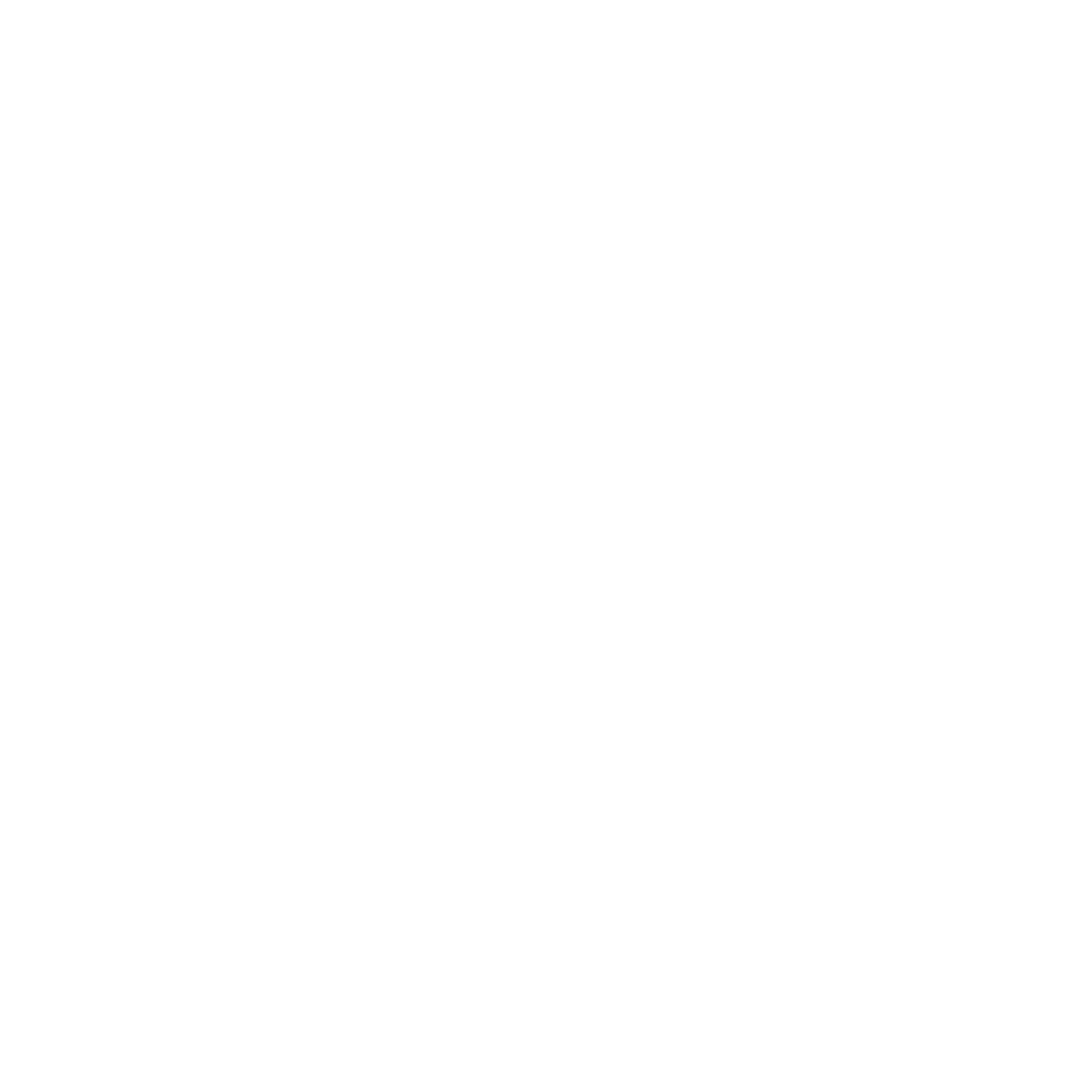 logowhitetransparent.png