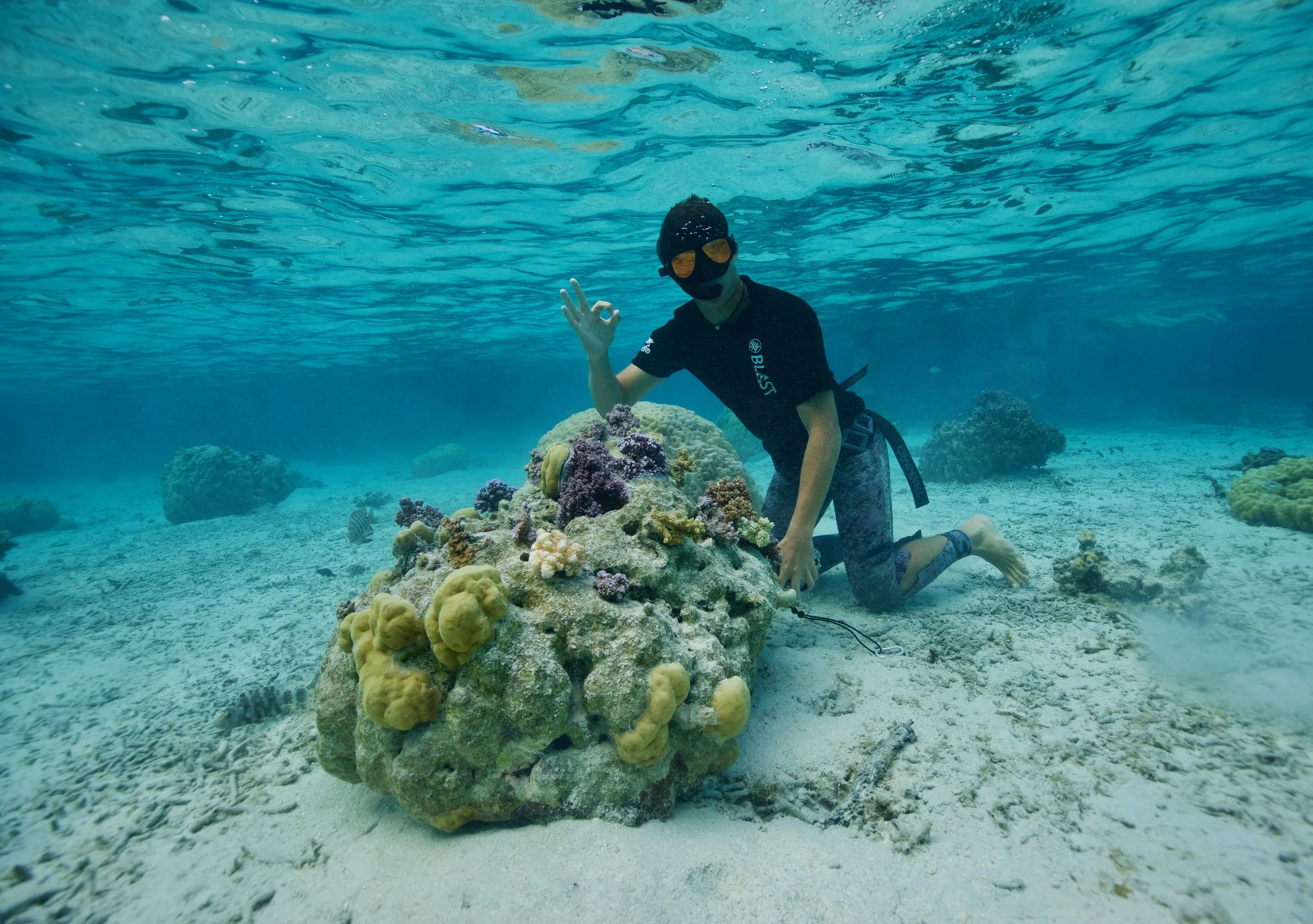 Photo: Moorea Coral Gardeners. Creating new reefs by transplanting coral cuttings into threatened areas.