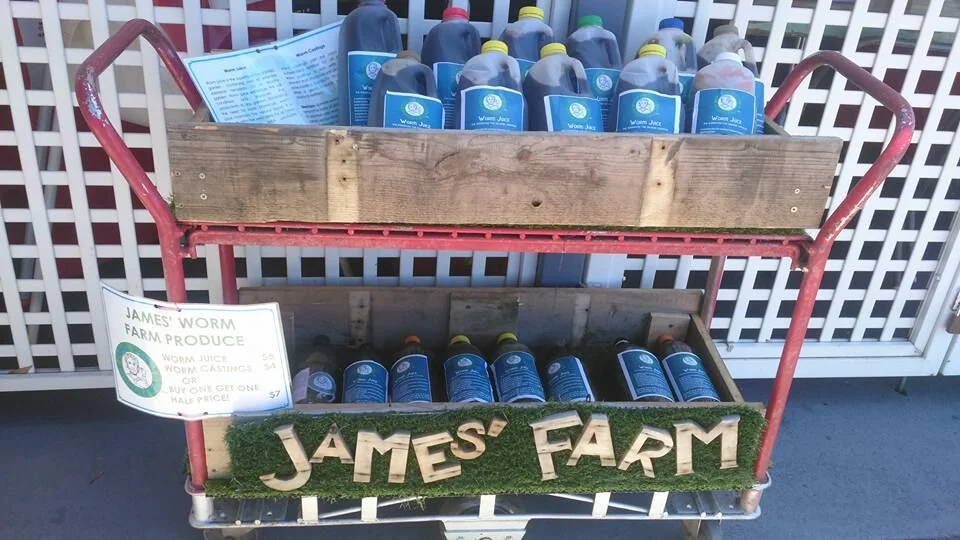 pNSmsBW8.jpeg