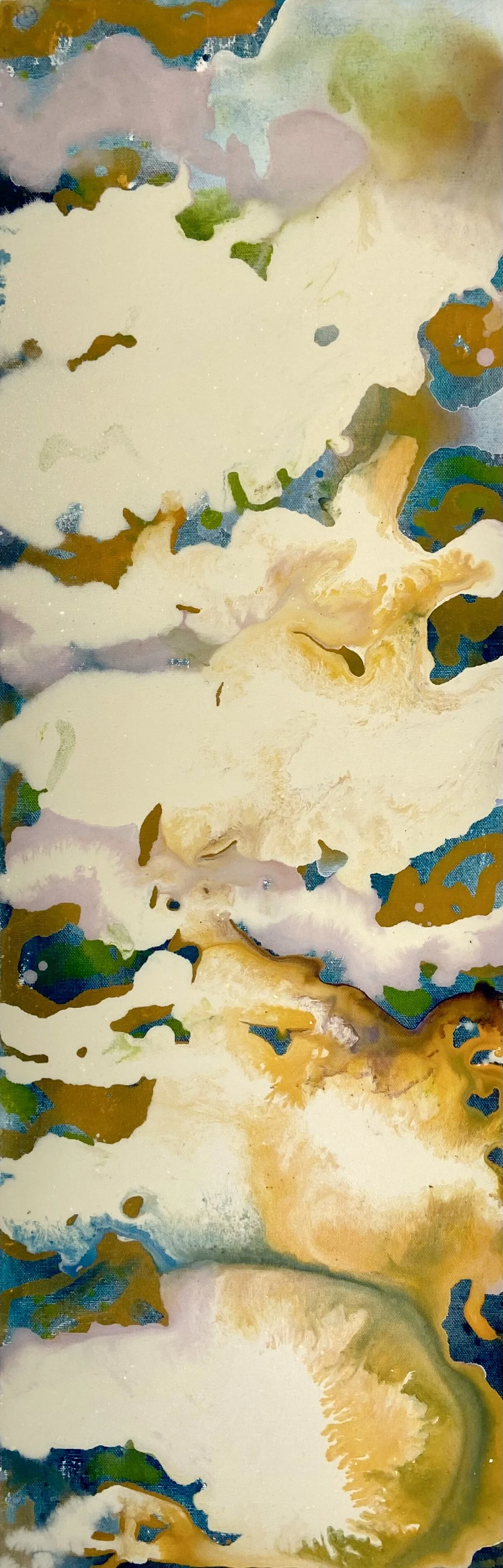 Cotton.fields.on.my.way.home..jpg