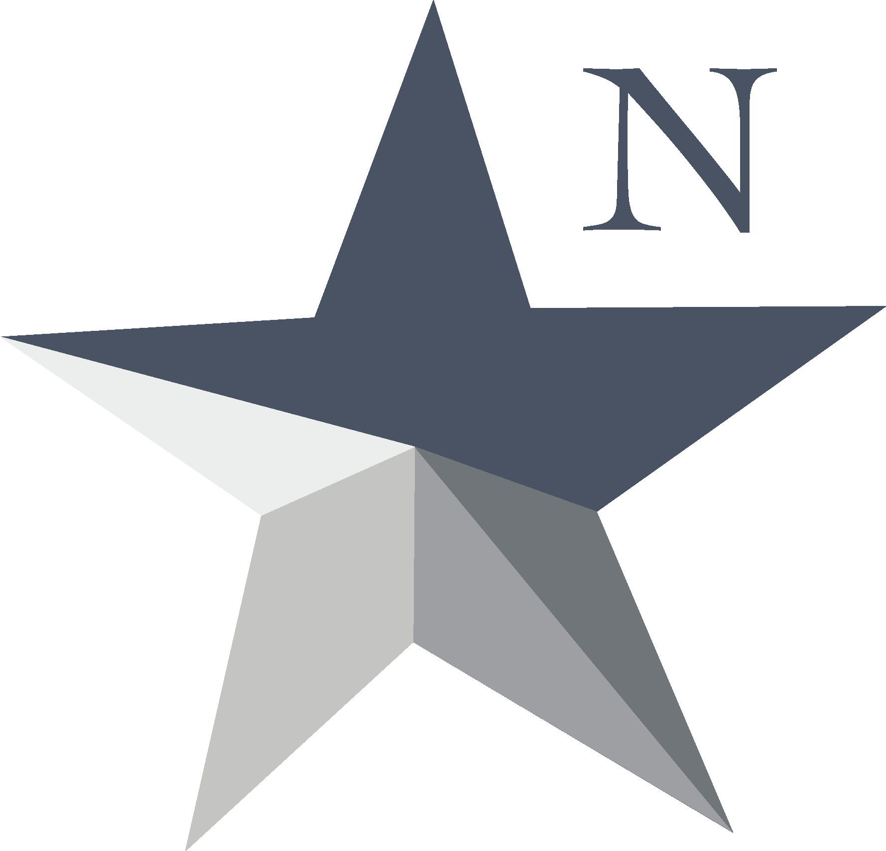 N_emblem.png