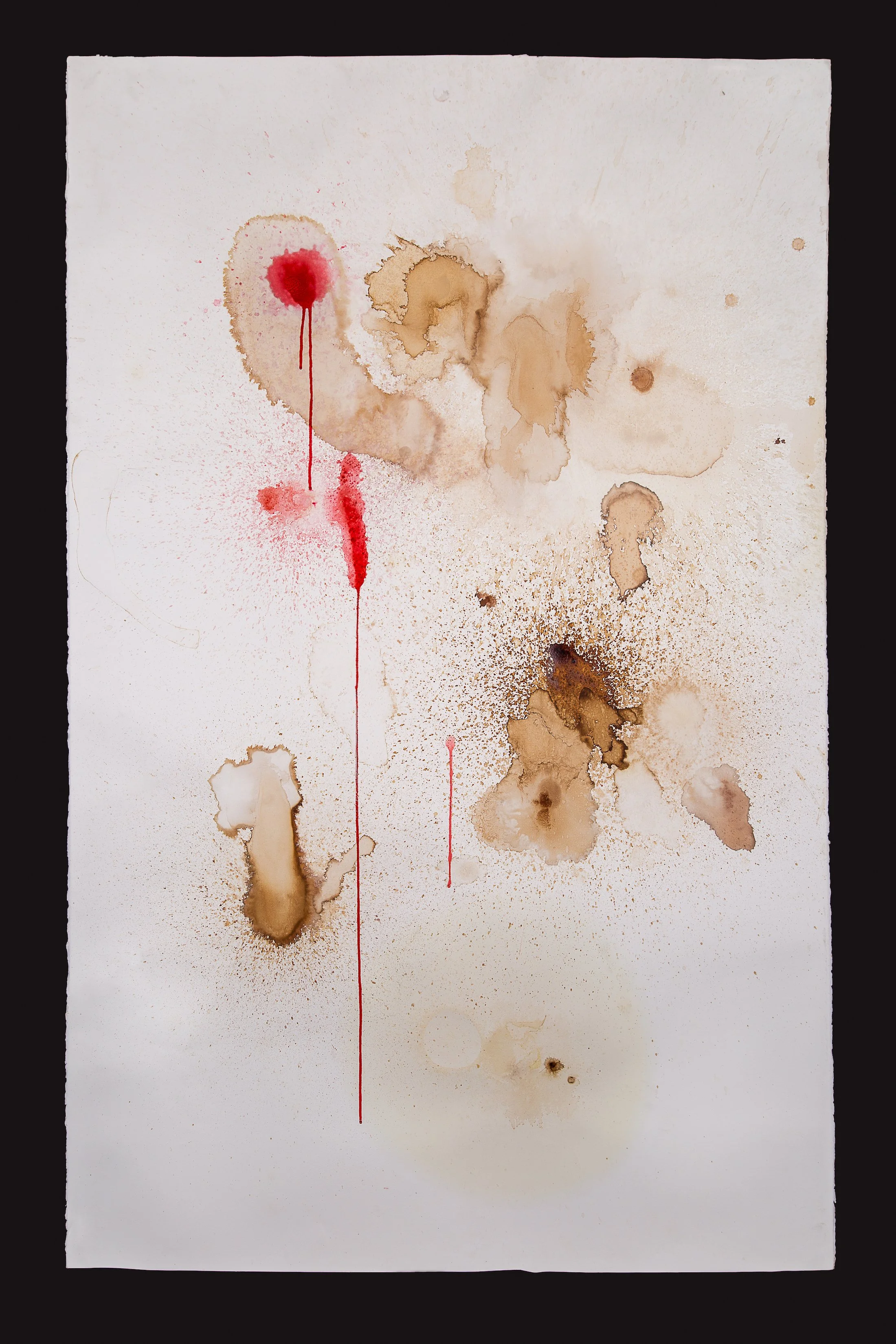 Consciousness Collected №2