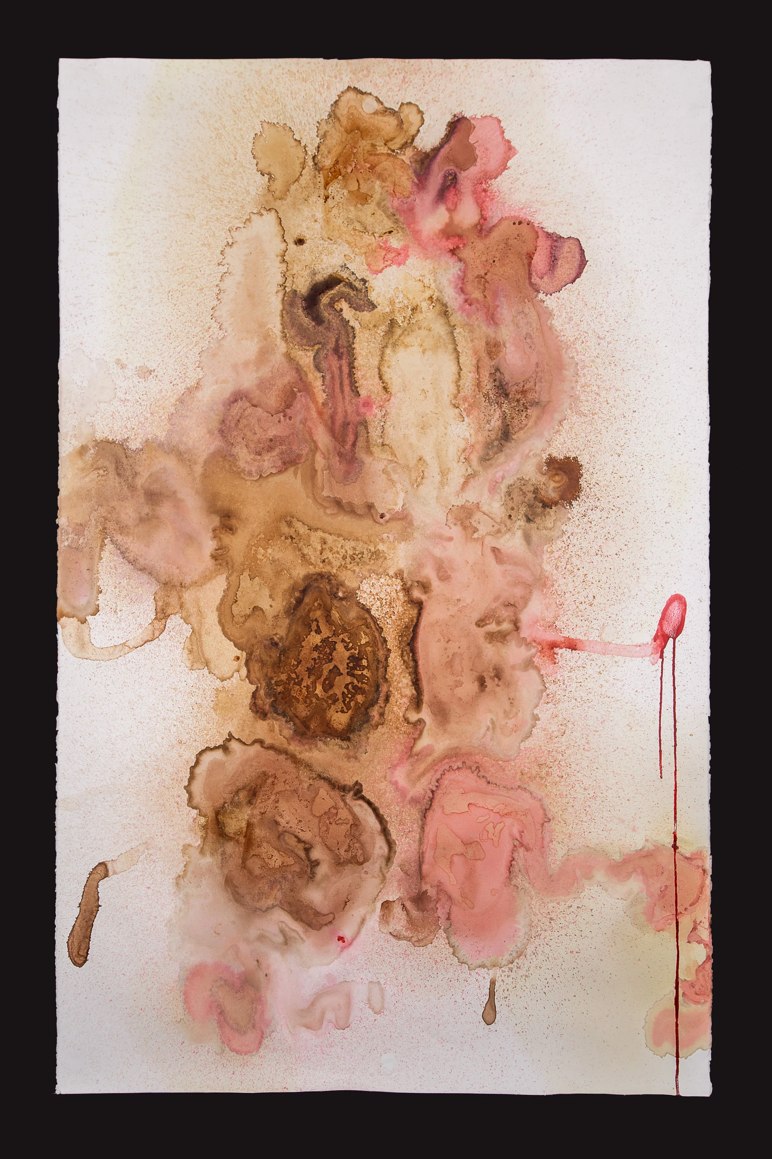 Oya_Consciousness Collected#3 .jpg