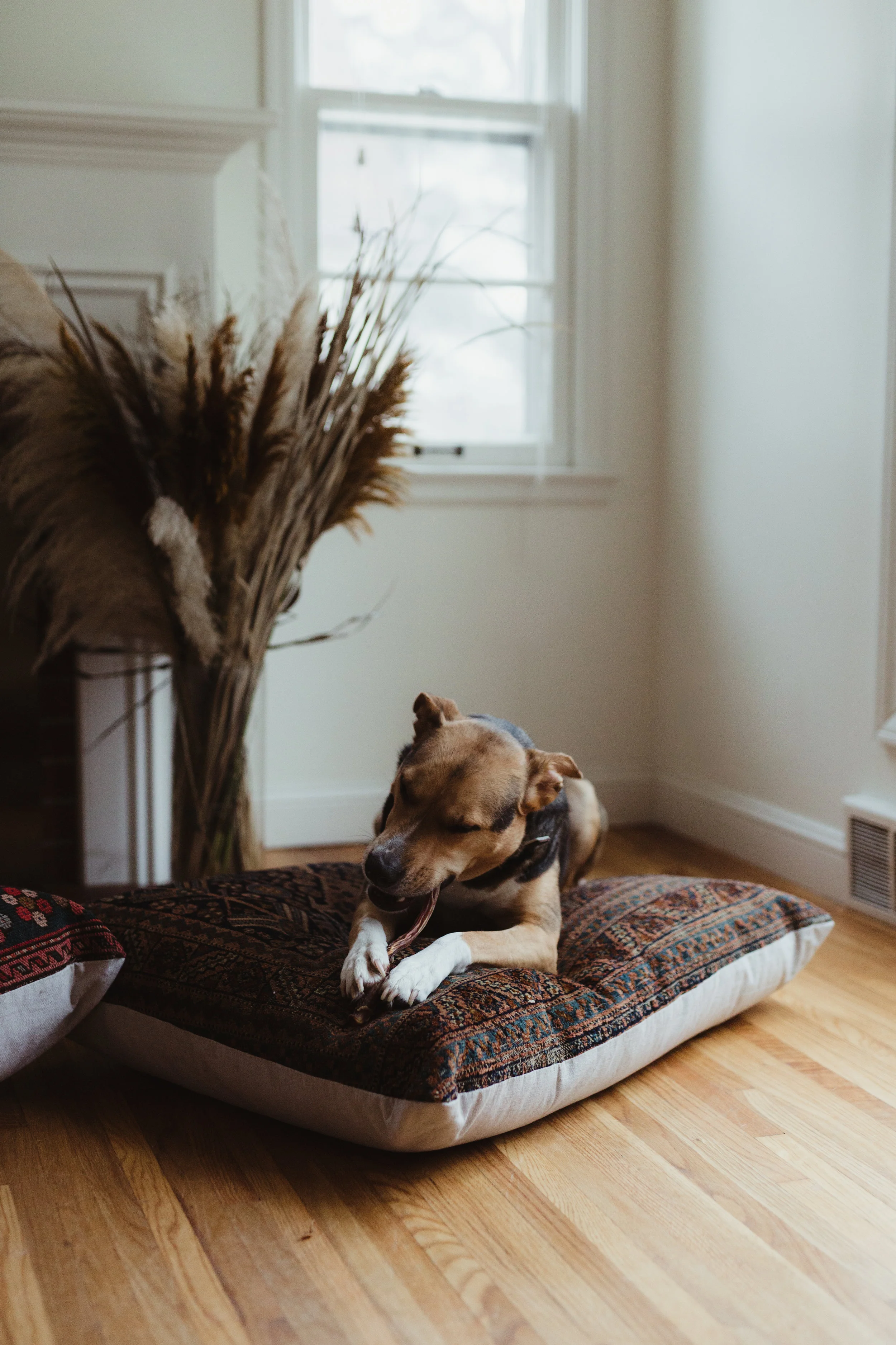 HENSLIN_Dogbeds_edits-39.jpg