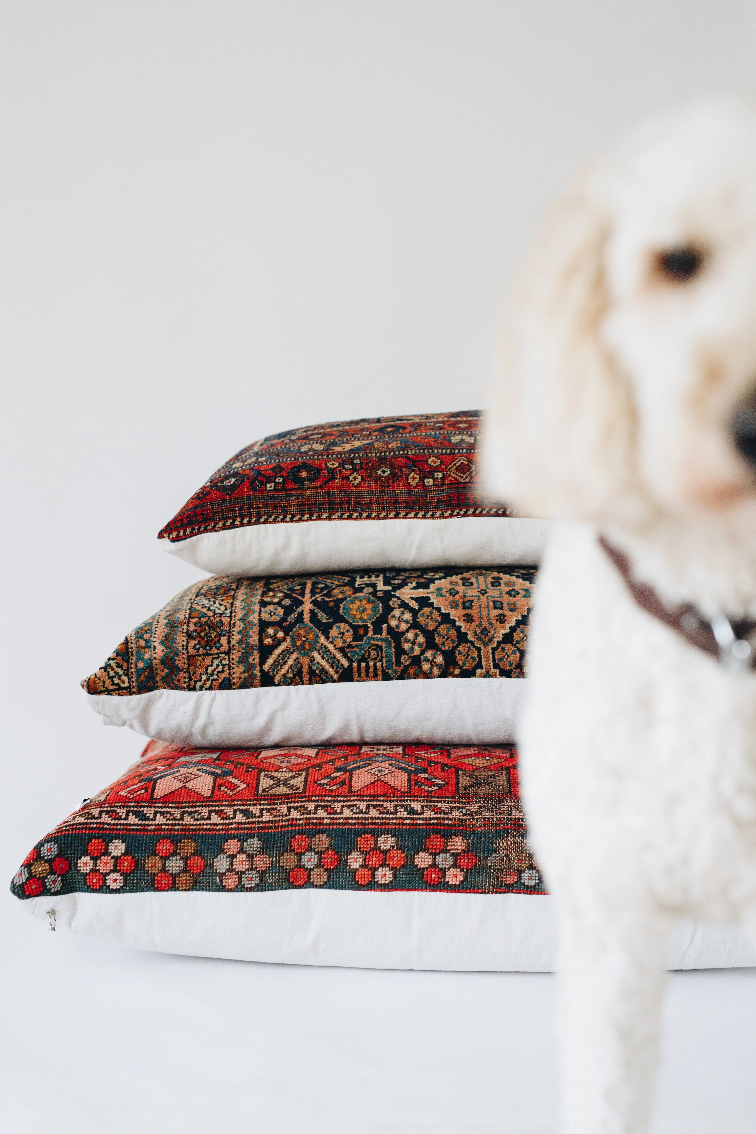 HENSLIN_Dogbeds_edits-5 (1).jpg