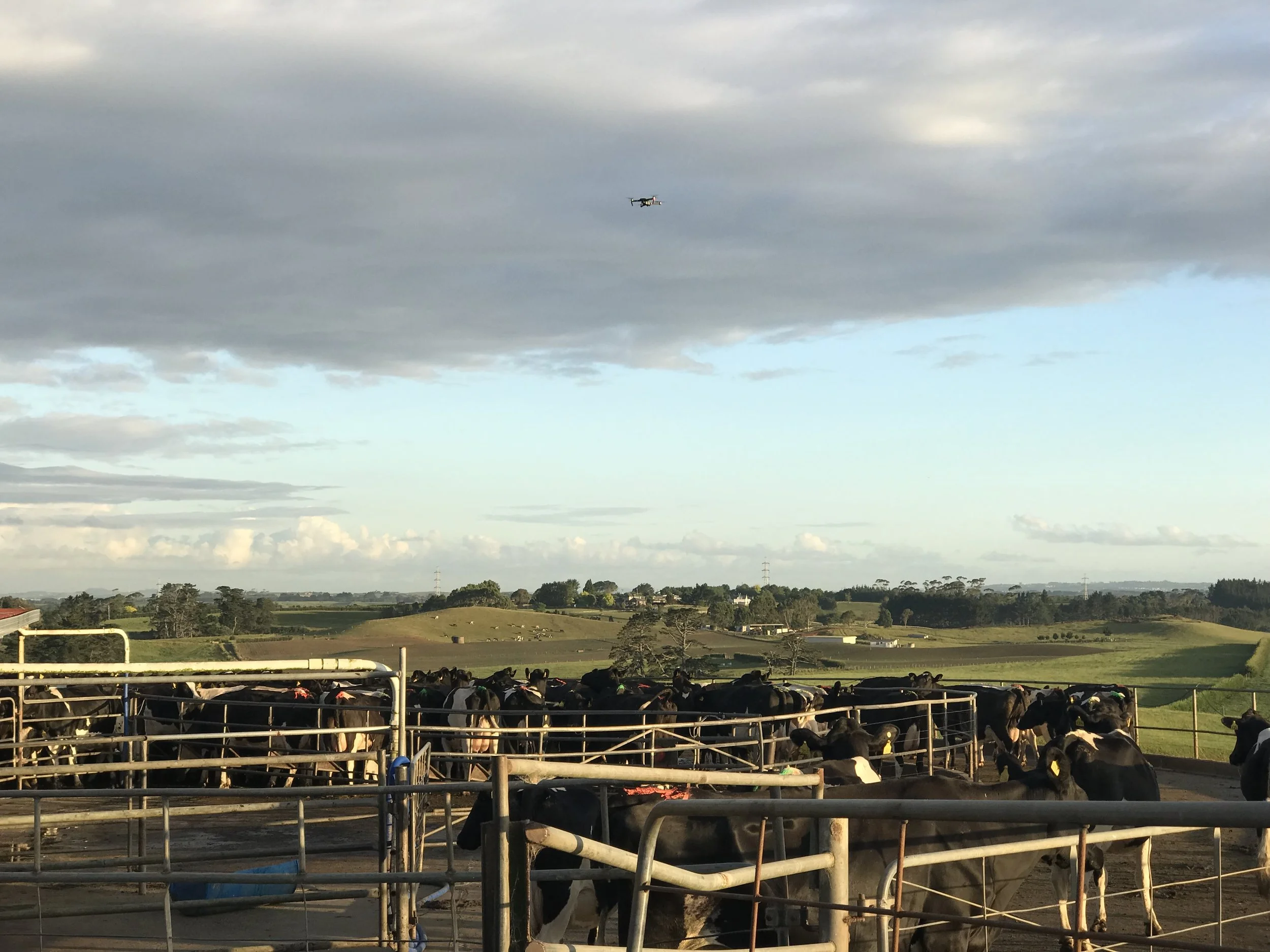 LIC - Artificial intelligence on the farm