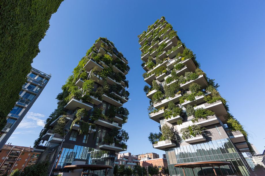 Curating the Landscape Architecture Aotearoa website