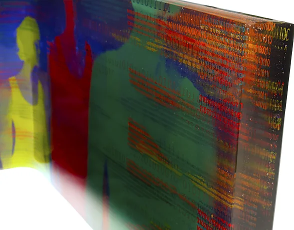 Integrating the Digital Image