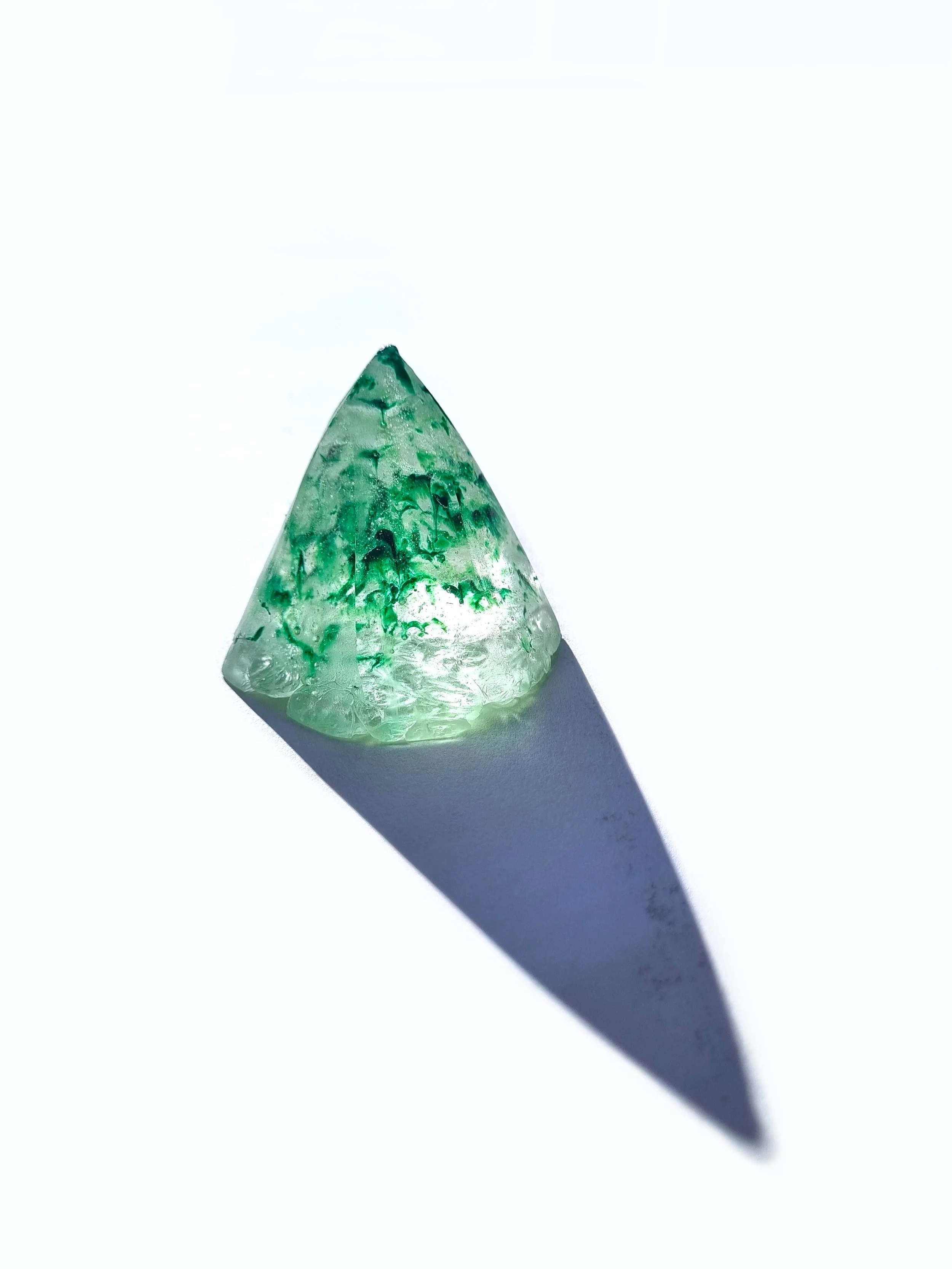 20250830_152655.jpg